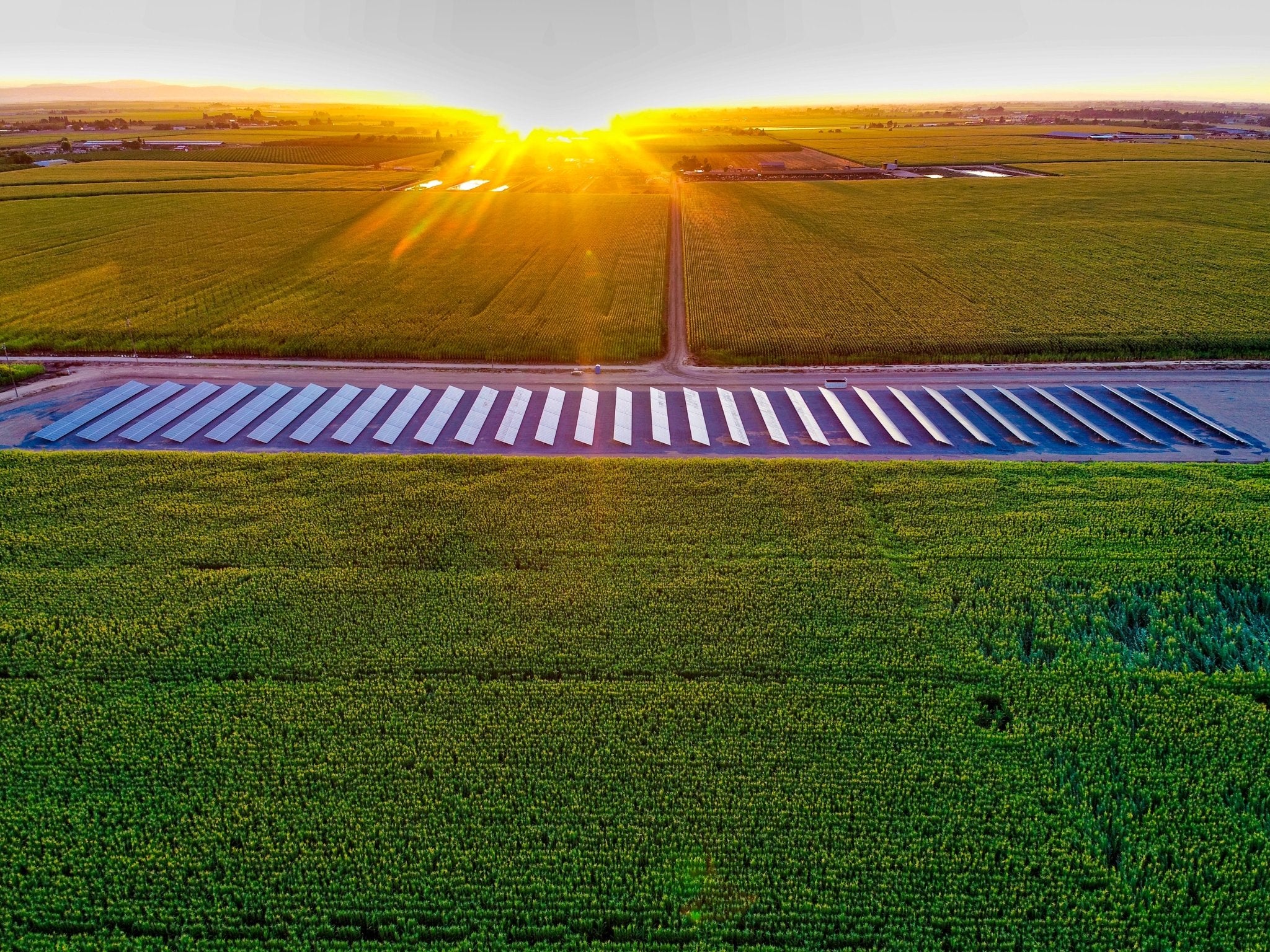 Agriculture Groups Urge Governor to Keep Solar Affordable - NewGen Energy