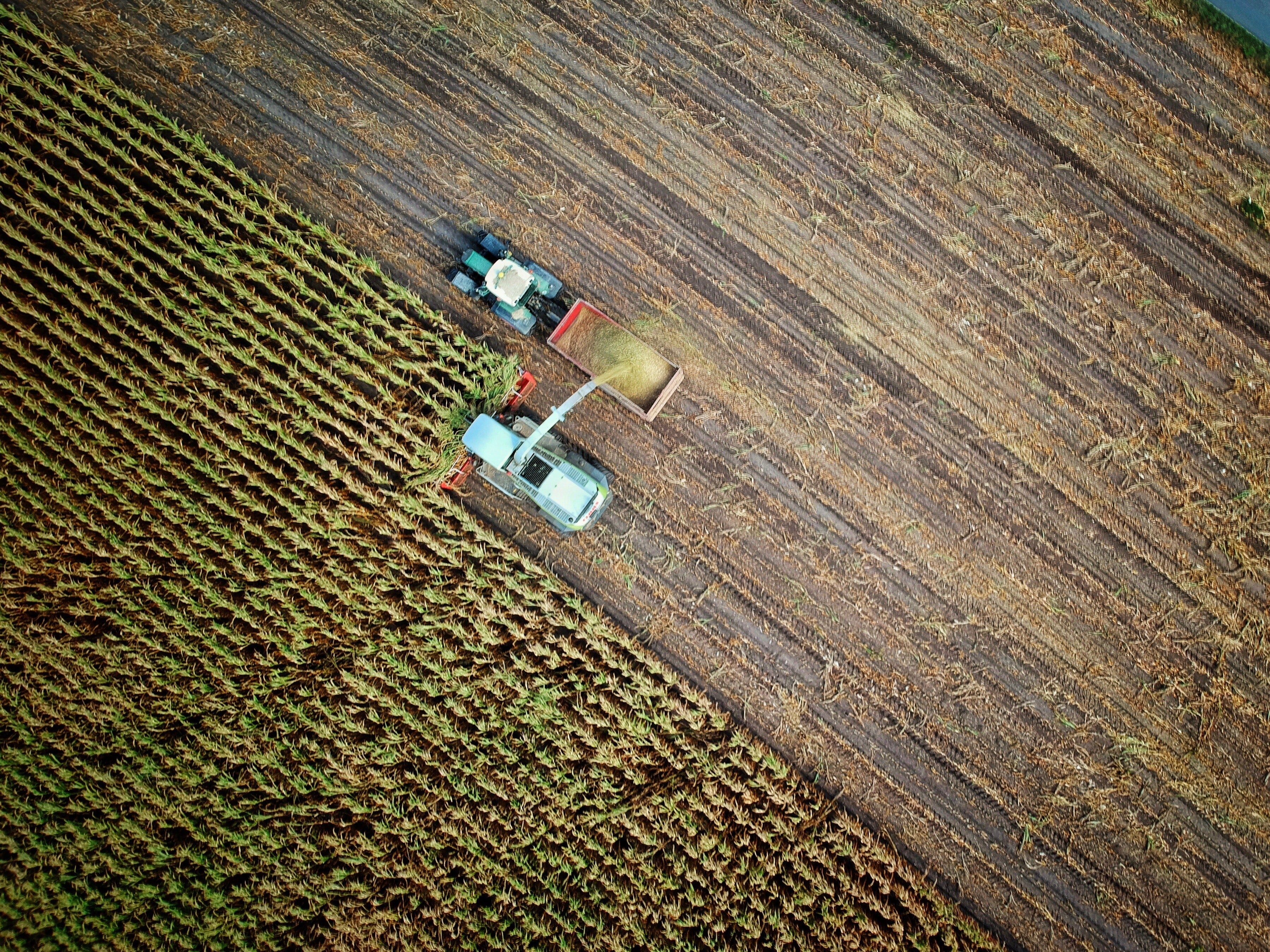 aerial view of tractor in a field