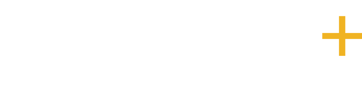 Solar view Plus logo